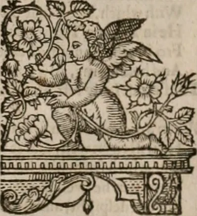 An illustration from The faerie queene : disposed into XII bookes, fashioning twelue morall vertues, 1609, leaf 218