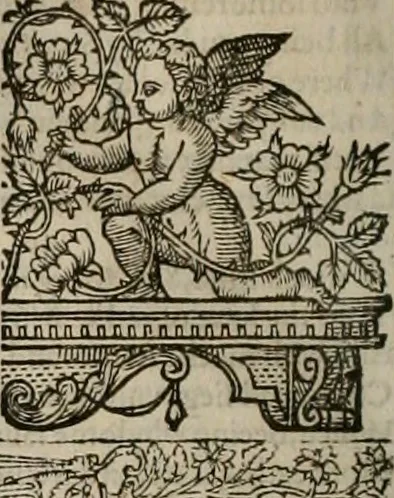 An illustration from The faerie queene : disposed into XII bookes, fashioning twelue morall vertues, 1609, leaf 223