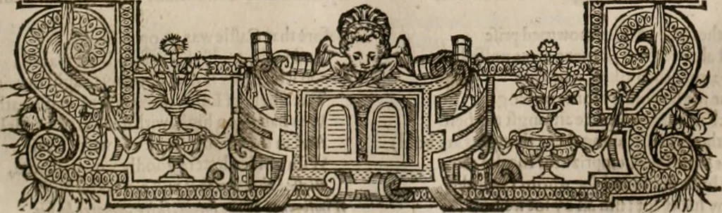 An illustration from The faerie queene : disposed into XII bookes, fashioning twelue morall vertues, 1609, leaf 236