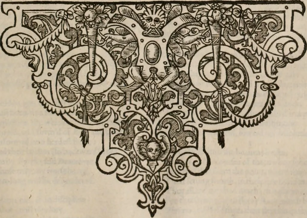 An illustration from The faerie queene : disposed into XII bookes, fashioning twelue morall vertues, 1609, leaf 250