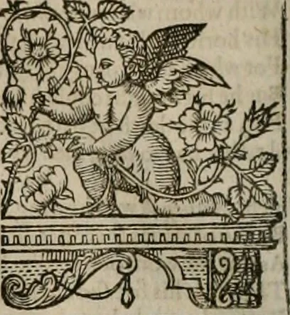 An illustration from The faerie queene : disposed into XII bookes, fashioning twelue morall vertues, 1609, leaf 265
