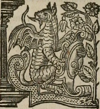 An illustration from The faerie queene : disposed into XII bookes, fashioning twelue morall vertues, 1609, leaf 269