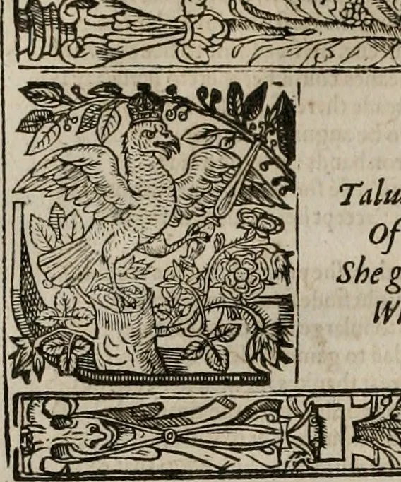 An illustration from The faerie queene : disposed into XII bookes, fashioning twelue morall vertues, 1609, leaf 275