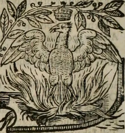 An illustration from The faerie queene : disposed into XII bookes, fashioning twelue morall vertues, 1609, leaf 275