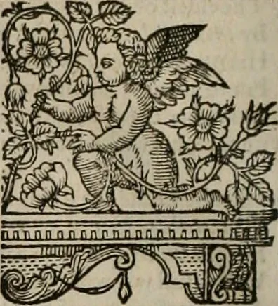 An illustration from The faerie queene : disposed into XII bookes, fashioning twelue morall vertues, 1609, leaf 279