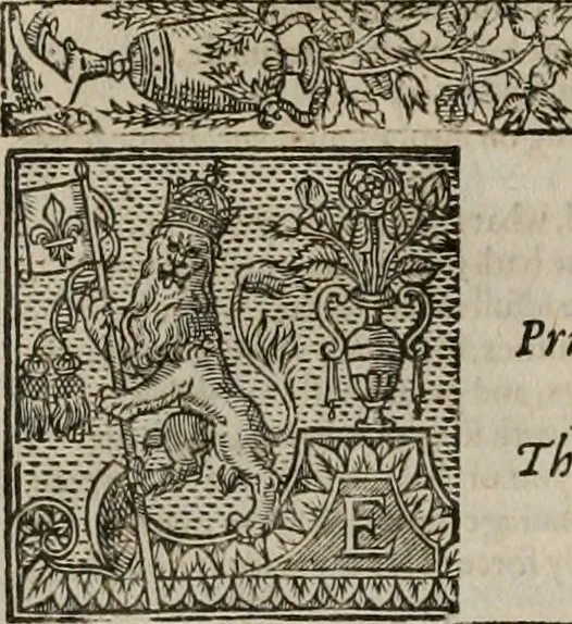 An illustration from The faerie queene : disposed into XII bookes, fashioning twelue morall vertues, 1609, leaf 283
