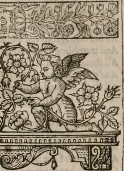 An illustration from The faerie queene : disposed into XII bookes, fashioning twelue morall vertues, 1609, leaf 30