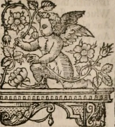 An illustration from The faerie queene : disposed into XII bookes, fashioning twelue morall vertues, 1609, leaf 302
