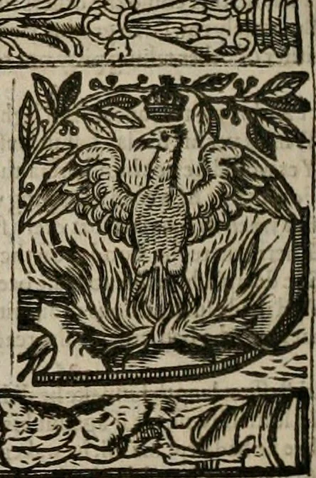 An illustration from The faerie queene : disposed into XII bookes, fashioning twelue morall vertues, 1609, leaf 311