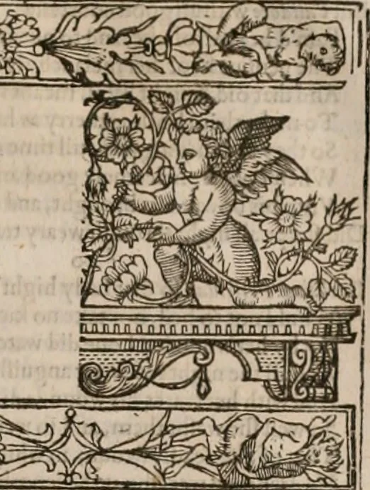 An illustration from The faerie queene : disposed into XII bookes, fashioning twelue morall vertues, 1609, leaf 316