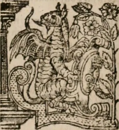 An illustration from The faerie queene : disposed into XII bookes, fashioning twelue morall vertues, 1609, leaf 320