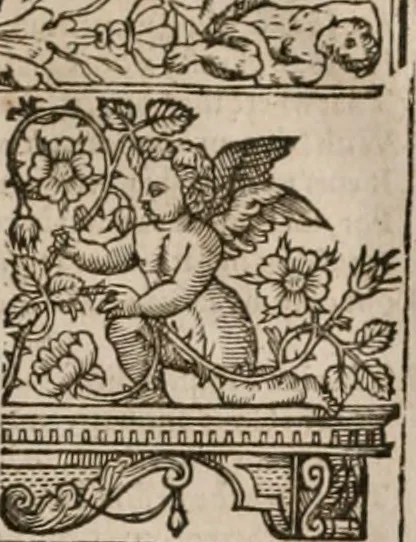 An illustration from The faerie queene : disposed into XII bookes, fashioning twelue morall vertues, 1609, leaf 328