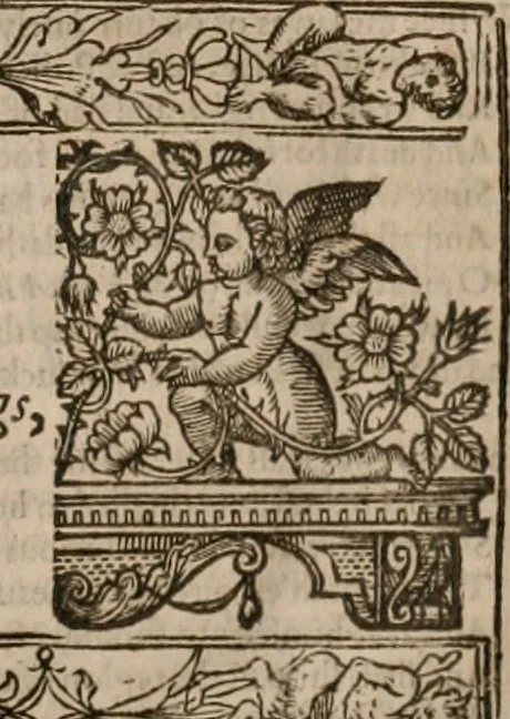 An illustration from The faerie queene : disposed into XII bookes, fashioning twelue morall vertues, 1609, leaf 358