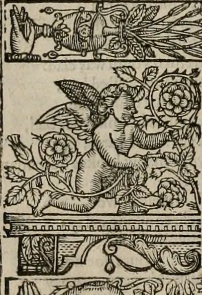 An illustration from The faerie queene : disposed into XII bookes, fashioning twelue morall vertues, 1609, leaf 43