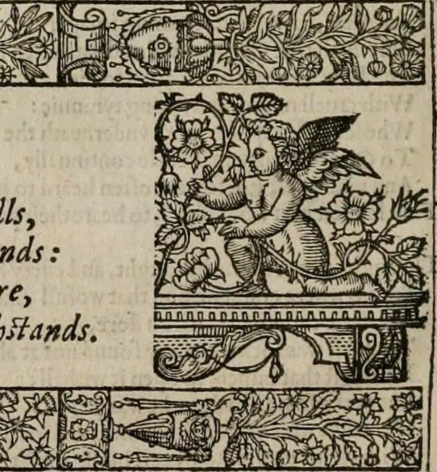 An illustration from The faerie queene : disposed into XII bookes, fashioning twelue morall vertues, 1609, leaf 43