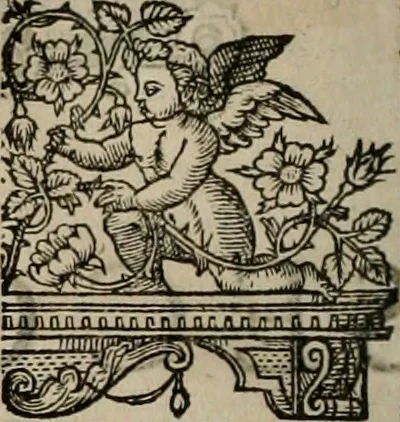 An illustration from The faerie queene : disposed into XII bookes, fashioning twelue morall vertues, 1609, leaf 65