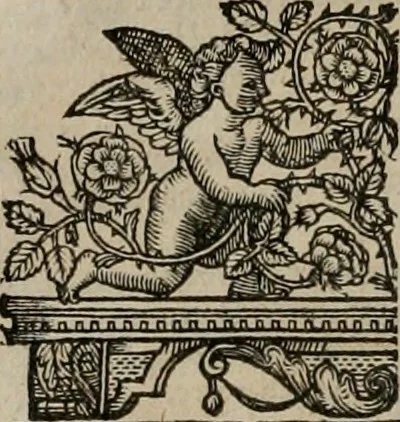 An illustration from The faerie queene : disposed into XII bookes, fashioning twelue morall vertues, 1609, leaf 83