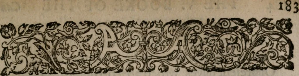An illustration from The faerie queene : Disposed into twelue bookes, fashioning XII. morall vertues, 1596, leaf 184