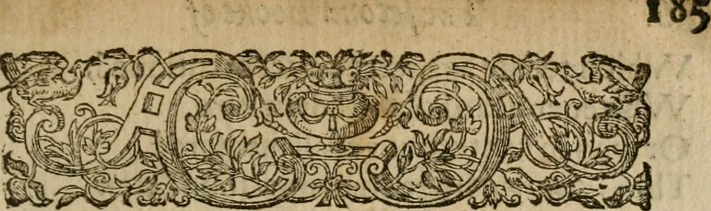 An illustration from The faerie queene : disposed into twelue books, fashioning XII morall vertues, 1590, leaf 188