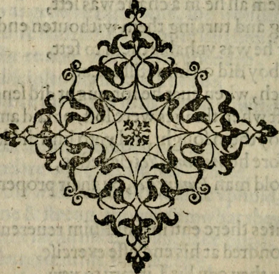 An illustration from The faerie queene : disposed into twelue books, fashioning XII morall vertues, 1590, leaf 327