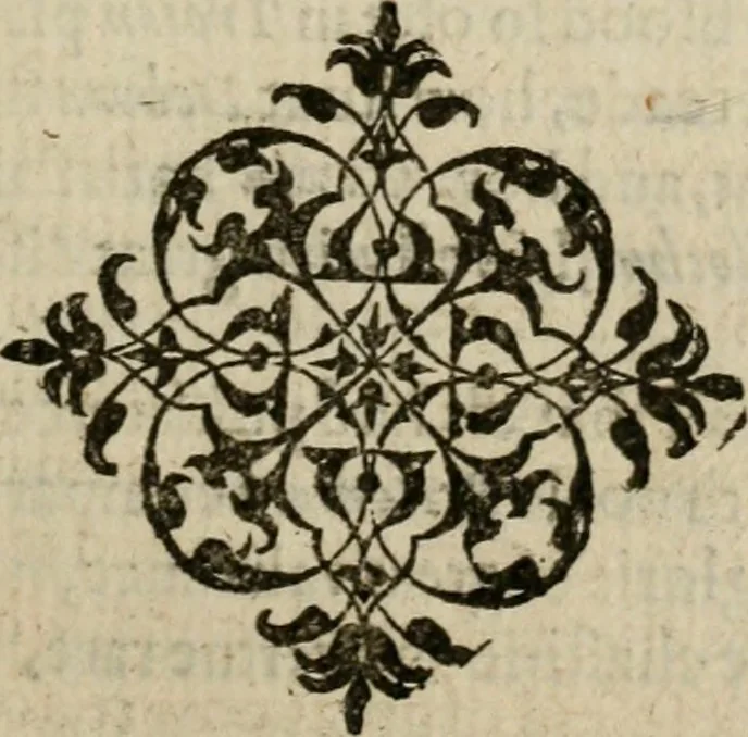 An illustration from The faerie queene : disposed into twelue books, fashioning XII morall vertues, 1590, leaf 446