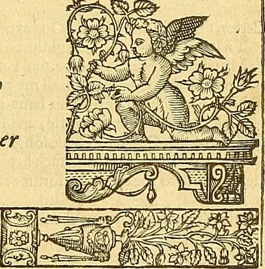 An illustration from The faerie qveene, disposed into XII. bookes, : fashioning twelue morall vertues, 1609, leaf 106