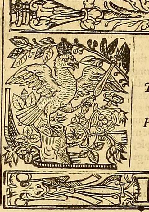 An illustration from The faerie qveene, disposed into XII. bookes, : fashioning twelue morall vertues, 1609, leaf 119