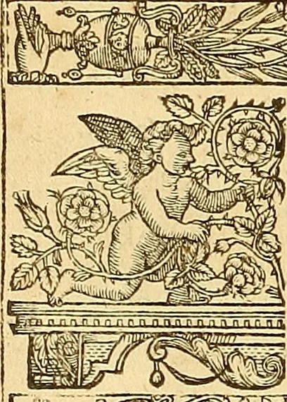 An illustration from The faerie qveene, disposed into XII. bookes, : fashioning twelue morall vertues, 1609, leaf 123