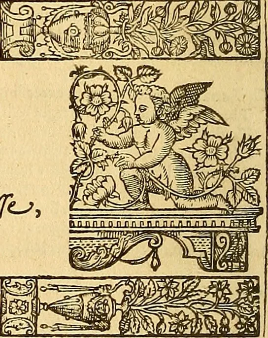 An illustration from The faerie qveene, disposed into XII. bookes, : fashioning twelue morall vertues, 1609, leaf 123