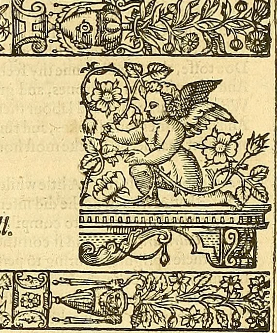 An illustration from The faerie qveene, disposed into XII. bookes, : fashioning twelue morall vertues, 1609, leaf 144