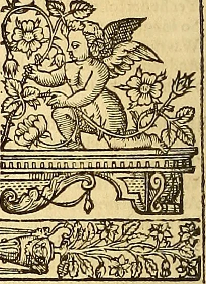 An illustration from The faerie qveene, disposed into XII. bookes, : fashioning twelue morall vertues, 1609, leaf 155