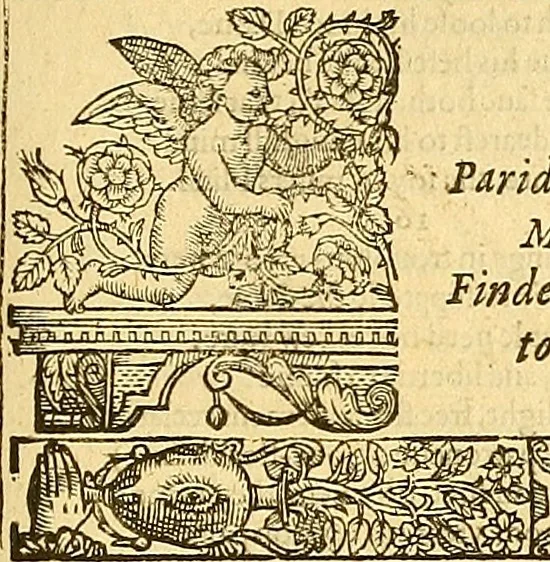 An illustration from The faerie qveene, disposed into XII. bookes, : fashioning twelue morall vertues, 1609, leaf 180