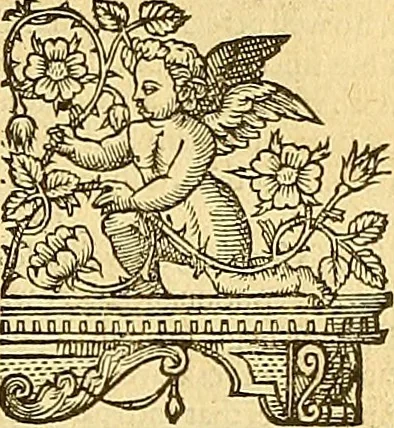 An illustration from The faerie qveene, disposed into XII. bookes, : fashioning twelue morall vertues, 1609, leaf 180