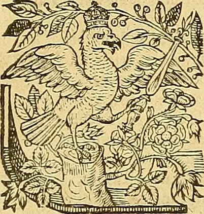 An illustration from The faerie qveene, disposed into XII. bookes, : fashioning twelue morall vertues, 1609, leaf 20