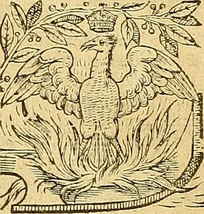 An illustration from The faerie qveene, disposed into XII. bookes, : fashioning twelue morall vertues, 1609, leaf 20