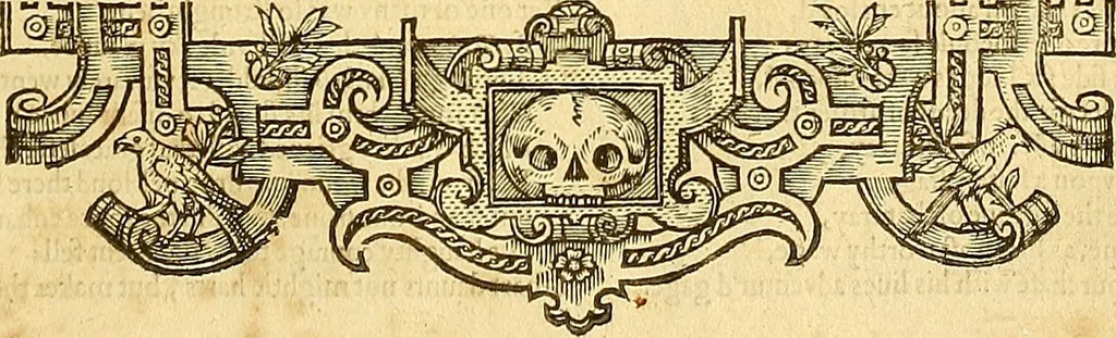 An illustration from The faerie qveene, disposed into XII. bookes, : fashioning twelue morall vertues, 1609, leaf 208
