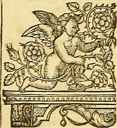 An illustration from The faerie qveene, disposed into XII. bookes, : fashioning twelue morall vertues, 1609, leaf 222