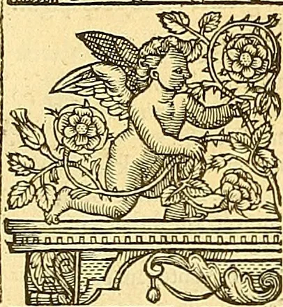 An illustration from The faerie qveene, disposed into XII. bookes, : fashioning twelue morall vertues, 1609, leaf 24