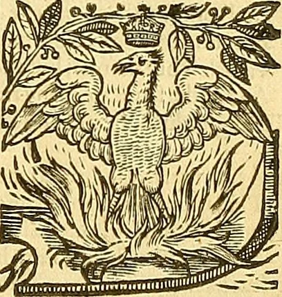 An illustration from The faerie qveene, disposed into XII. bookes, : fashioning twelue morall vertues, 1609, leaf 260
