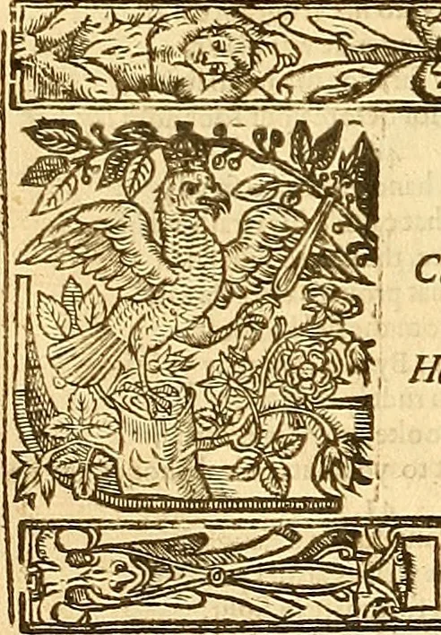 An illustration from The faerie qveene, disposed into XII. bookes, : fashioning twelue morall vertues, 1609, leaf 315