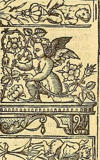An illustration from The faerie qveene, disposed into XII. bookes, : fashioning twelue morall vertues, 1609, leaf 320