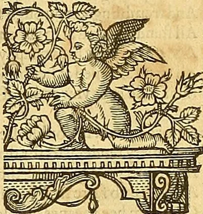 An illustration from The faerie qveene, disposed into XII. bookes, : fashioning twelue morall vertues, 1609, leaf 34