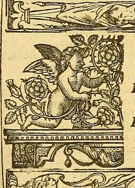 An illustration from The faerie qveene, disposed into XII. bookes, : fashioning twelue morall vertues, 1609, leaf 362