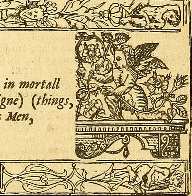 An illustration from The faerie qveene, disposed into XII. bookes, : fashioning twelue morall vertues, 1609, leaf 362