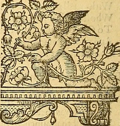 An illustration from The faerie qveene, disposed into XII. bookes, : fashioning twelue morall vertues, 1609, leaf 47