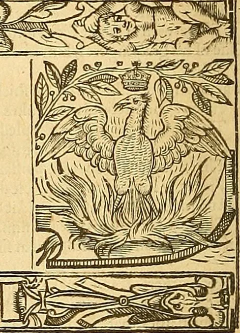 An illustration from The faerie qveene, disposed into XII. bookes, : fashioning twelue morall vertues, 1609, leaf 63