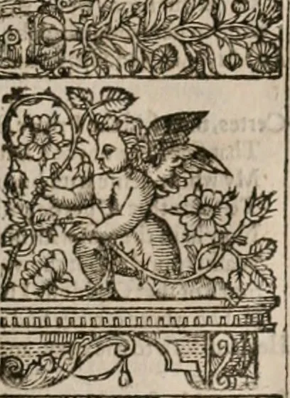 An illustration from The faerie qveen : The shepheards calendar : together with the other works of England's arch-poët, 1611, leaf 104