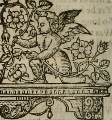 An illustration from The faerie qveen : The shepheards calendar : together with the other works of England's arch-poët, 1611, leaf 153