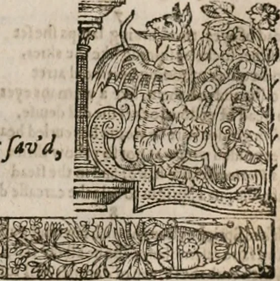 An illustration from The faerie qveen : The shepheards calendar : together with the other works of England's arch-poët, 1611, leaf 168