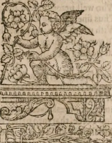 An illustration from The faerie qveen : The shepheards calendar : together with the other works of England's arch-poët, 1611, leaf 178